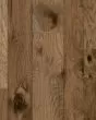 Nature s Canvas Silver Hickory Dipped In Honey