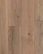 Nature s Canvas Gold White Oak Pastel Impression