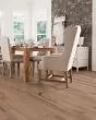 Nature s Canvas Gold White Oak Pastel Impression