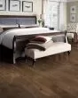 Nature s Canvas Gold White Oak Forest Interlude