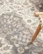 Elation ETN08 Ivory Grey Area Rug