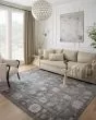 Elysium ELY-03 Charcoal/Multi Area Rug