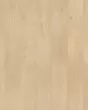Emberluxe Chantilly Oak BelleLuxe 8" Laminate