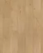Emberluxe Sunset Trail Oak BelleLuxe 8" Laminate
