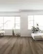 Everett Park SolidTech Essentials Juneau Luxury Vinyl