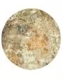 Evolution 8031b Gold/Beige Area Rug