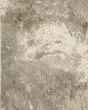 Evolution 960a Beige/Grey Area Rug