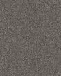 Expertise Sentimental 48.7oz Textured Carpet