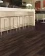 Explorers Cove SolidTech Select Cafe Doppio Luxury Vinyl