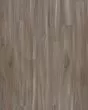 Explorers Cove SolidTech Select Dolphin Luxury Vinyl