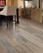 Explorers Cove SolidTech Select Metallic Shadows Vinyl