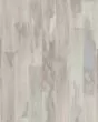Explorers Cove SolidTech Select Moon Shine Luxury Vinyl