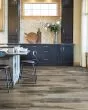 Explorers Cove SolidTech Select Raccoon Luxury Vinyl