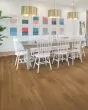 Explorers Cove SolidTech Select Stormy Sands Luxury Vinyl