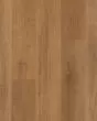 Explorers Cove SolidTech Select Stormy Sands Luxury Vinyl