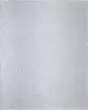 Finley T6046 White Area Rug