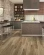 Founders Trace SolidTech Select Amber Shade Luxury Vinyl
