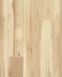 Founders Trace SolidTech Select Original Sandstorm