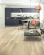 Founders Trace SolidTech Select Shoreline Luxury Vinyl