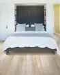 Founders Trace SolidTech Select Yellow Wish Luxury Vinyl
