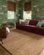 Henry HEY-01 Rust/Natural Area Rug