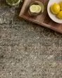Javari JV-05 Ivory/Sea Area Rug