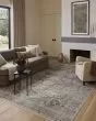 Josie JOS-03 Silver/Natural Area Rug