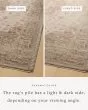 Junie JUE-04 Natural/Clay Area Rug