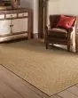 Karavia 2160n Tan Area Rug