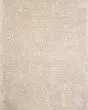 Kayla Shag KAY-01 Beige Area Rug