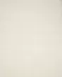 Kayla Shag KAY-01 Ivory Area Rug