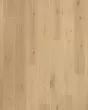 The Gault Estate Antiqued Lace Oak 8.5" Hardwood