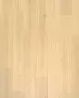 Andilet Glazer Ginger Oak BelleLuxe 8" Laminate