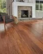 Korlok Select Natural Koa Luxury Vinyl