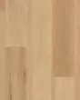 Korlok Select Warm Ash Luxury Vinyl