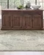 Adalia Kumra Dark Gray Area Rug
