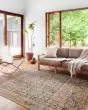 Loren LQ-17 Charcoal/Multi Area Rug
