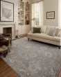 Louisa LOI-02 Ocean Sunset Area Rug
