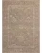 Louisa LOI-04 Taupe/Gold Area Rug