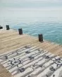 Lucia 2775 Ivory Seashore Area Rug