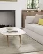 Luna 8049F Gray/Ivory Area Rug