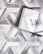 Maddox MAD-05 Silver/Ivory Area Rug
