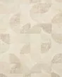 Milo MLO-03 Pebble/Multi Area Rug