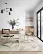 Milo MLO-06 Lt Grey/Granite Area Rug