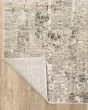 Nebulous 2x Beige/Grey Area Rug