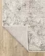 Nebulous 50j Ivory/Beige Area Rug