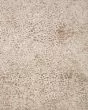 Neda NED-02 Ivory/Sand Area Rug