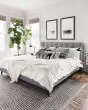 Newton NET-01 Charcoal/Ivory Area Rug
