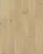 Noble Hall White Oak Duchess 7" Hardwood