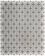 Nourison Essentials NRE04 Ivory Black Rug